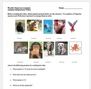 The World's Smartest Animals: Video Link and Worksheet by The Vintage Apple