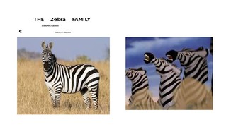 Preview of The Zebra Family: The Lion King Character