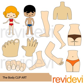 Preview of The body clip art - Body parts clipart