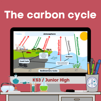 Preview of The carbon cycle (KS3)