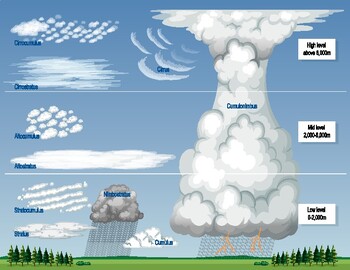 Preview of The different types of clouds with names and sky - letter size  - Ready to print