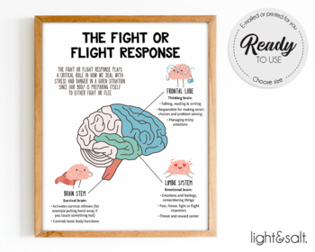 Preview of The fight or flight response, Brain anatomy poster, Psychology poster, DBT