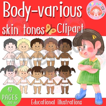 Preview of The human body and various skin tones.