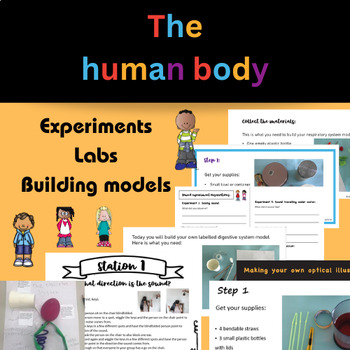 Preview of The human body experiment bundle