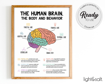 Preview of The human brain poster, Brain anatomy & psychology, mental health poster