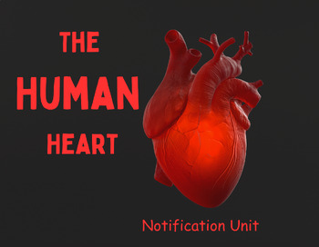 Preview of The human heart.