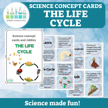 Preview of The life cycle - Science concept cards and riddles