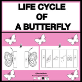 The life cycle of a butterfly