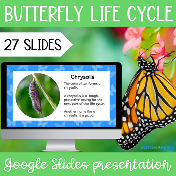 Preview of The life cycle of a butterfly Google Slides slide show presentation lesson