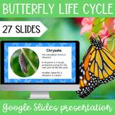 The life cycle of a butterfly Google Slides slide show pre