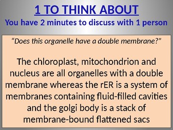 The mitochondrion by Gareth Honor | Teachers Pay Teachers