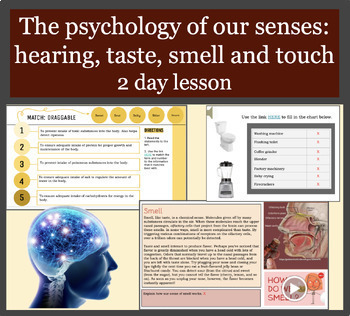 Preview of The psychology of our senses: hearing, taste, smell and touch   2 day lesson