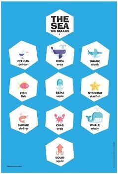 Preview of The sea - Sea life vocabulary poster 1 (+ Digital TpT)