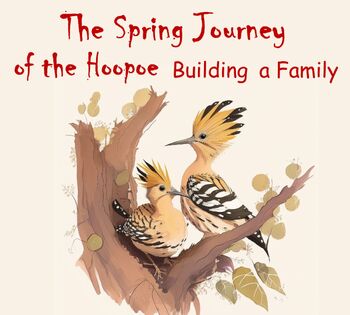Preview of The spring journey of the hoopoe to build a family Story for children