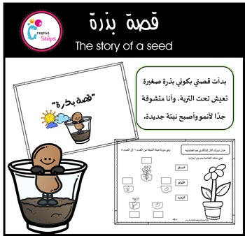 Preview of The story of a seed- Black-White and colored version