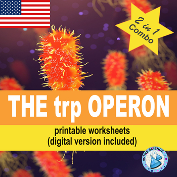 The trp Operon: gene regulation in bacteria (US edition) | TpT