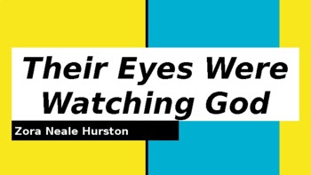 Preview of Their Eyes Were Watching God Novel Guide: Activities, Discussion, Quizzes
