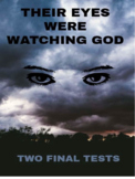 Their Eyes Were Watching God: Two Final Tests