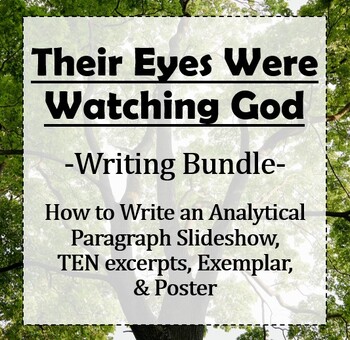 Preview of Their Eyes Were Watching God: Writing Bundle- How to Slideshow, Excerpts, Poster