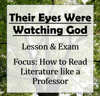 Preview of Their Eyes Were Watching God vs How to Read Literature: Opening Lesson & Exam