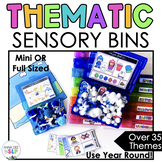 Themed Sensory Bins for Preschool Speech and Language Therapy