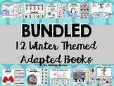 Themed Winter Adapted Book BUNDLE January (Autism, Special