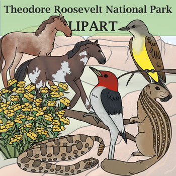 Preview of Theodore Roosevelt National Park Clip Art - Plants and Animals
