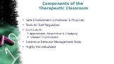 Therapeutic Classroom - Social Emotional Learning EBD