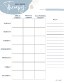 Therapy Tracker ST, PT, OT - Adult Cognitive Rehab