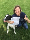 Therapy dog from start to finish: proposal, faculty/staff 