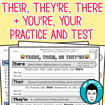 Preview of There, Their, They're + Your or You're Worksheet Packet with Test (Digital OK!)