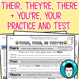 There, Their, They're + Your or You're Worksheet Packet wi