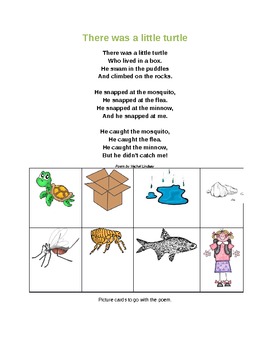 There was a little turtle picture cards by Mrs Seaver | TpT