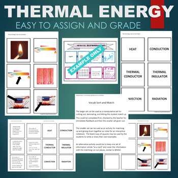 Preview of Thermal Energy Traits (Conductor, Insulator, etc) Sort & Match STATIONS Activity