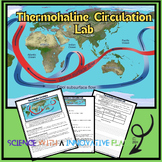 Thermohaline  Circulation Lab