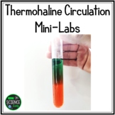 Thermohaline Circulation Ocean Circulation Lab Activities 