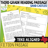 Third Grade Summer Reading Comprehension Passage for Ficti