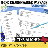 Third Grade Reading Comprehension Passage for Poetry: The 