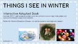Things I See In Winter- Interactive Adapted Book
