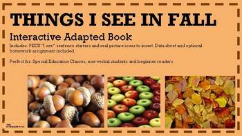 Preview of Things I See in Fall Interactive Adapted Book: Real Pictures