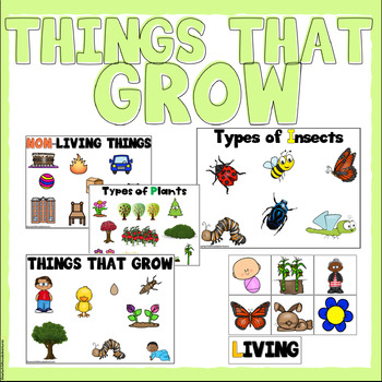 Preview of Things That Grow Activities and Resources for 3K, Pre-K, and Preschool