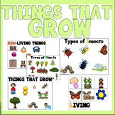 Things That Grow Activities and Resources for 3K, Pre-K, a