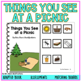 Things You See at a Picnic- Adapted Book