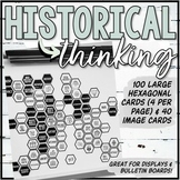Historical Thinking Hexagonal Thinking (Large Cards) Displ