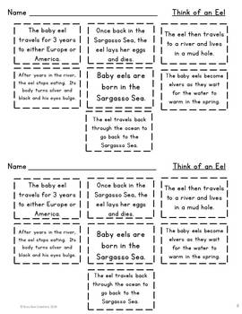 Eels - Mistakes Of My Youth worksheet