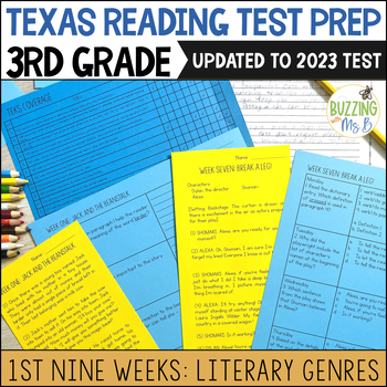 Third Grade A TEK-a-Day Reading Test Prep & Review, 1st Nine Weeks