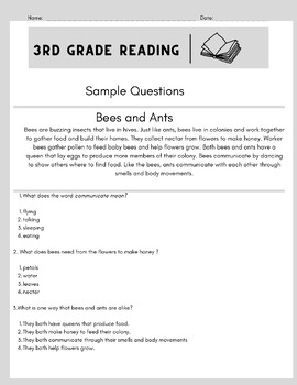 Preview of Third Grade End of the Year Reading Test