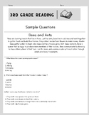 Third Grade End of the Year Reading Test
