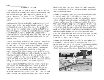 Preview of Third Grade Fiction Passage "Cooper's Lesson" with central message and Questions