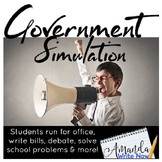 Government Simulation